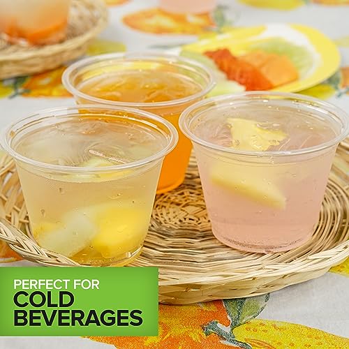 Stock Your Home 250 Pack / Clear / 9.0 ounces Cups