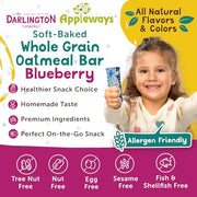 Appleways Blueberry / 1.2 Ounce (216 Count) / 216 Whole Grain