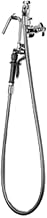 T&S Brass B-0606 Pot Filler, Wall Mount, Vacuum Breaker, Stainless Steel Hose, Hook Nozzle