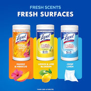 Lysol 80 Count (Pack of 4) / Wipes / 1 Disinfectant Wipes