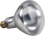 FMP Clear Glass 375 Watt Safety Coated Food Warming Bulb