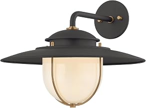 Troy Lighting Greentree Outdoor Wall Sconce | Forged Iron and Patina Brass Finish | RLM Style with Opal Glass Diffuser | Wet Rated Exterior Light | 16" W x 13" H | B4013-FOR/PBR
