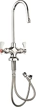 Krowne Single Hole Faucet with Rigid Gooseneck Spout, 16-450L