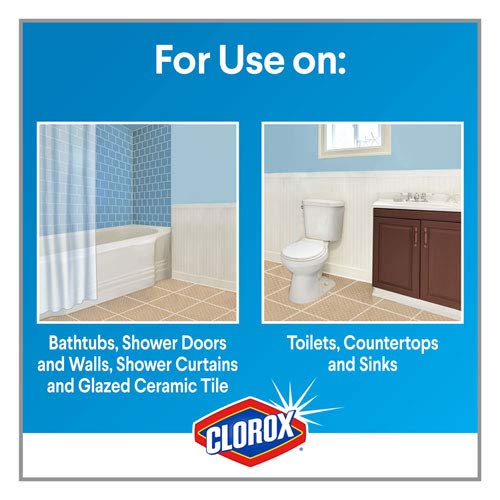 Mold & Mildew Remover 16 Fl Oz (Pack of 2) by Tilex – 16 Fl Oz, Clear, Model 11002PK