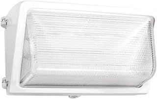 RAB Lighting WP3LED55W/480 Outdoor, Image