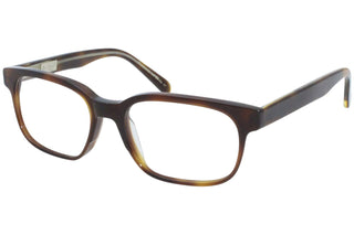 Eyeglasses TORTOISE Tortoise by Original Penguin – 48/16/130, Tortoise, Model The Curtis Jr