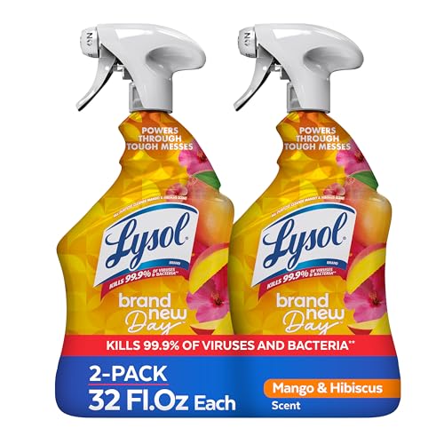 Lysol 32 Fl Oz (Pack of 2) / Mango and Hibiscus / Mango All-Purpose Cleaners