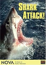 NOVA: Shark Attack!