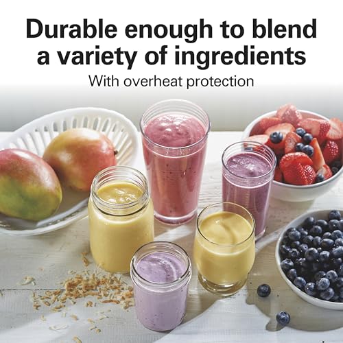 Hamilton Beach Raspberry / 14 oz. / 1 Jar Personal Size Blenders