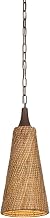 Troy Lighting F2709-BRL Kenzo - 1 Light Pendant - 20.75 Inches Tall and 8.5 Inches Wide - Bronze Leaf