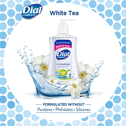 Dial 11 Fl Oz (Pack of 2) / ابيض / 1 Hand Wash