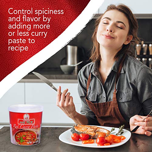 Mae Ploy Red / Red Curry Paste / 14 Ounce (Pack of 1) Curry Sauce