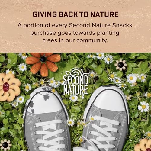 Second Nature Dark Chocolate / 12 Ounce (Pack of 1) / Torquise Snack & Trail Mixes