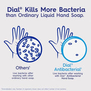 Dial 11 Fl Oz (Pack of 1) / White / 1 Hand Wash