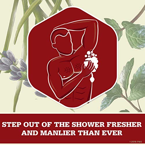Old Spice 16 Fl Oz (Pack of 1) / Timber / White Body Washes