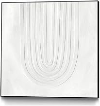Giant Art Canvas 20x20 Arcobaleno Bianco IV Framed in Multi-Color