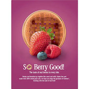 Cheerios Berry / 19.5 Ounce (Pack of 1) / 1 Breakfast Foods