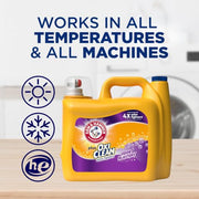 ARM & HAMMER Fresh Burst / 158.6 Fl Oz (Pack of 1) / 1 Liquid Detergent