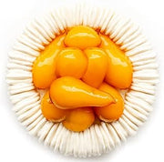 Pavoni KE087 Charlotte Pavocake Silicone Baking Mold Freezing Mould 7.1 Inch Diameter x 2.6 Inch High