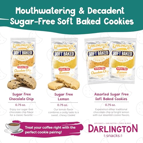 Darlington Snacks Chocolate Chip (Sugar-Free) / 0.75 Ounce (Pack of 106) / 106 Chocolate