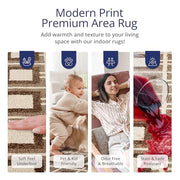 Abani 5 x 8 Feet / Brown / Modern Area Rugs
