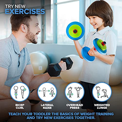Modern Innovations Dumbbells / Multicolored / 5.5” L x 5.5” W x 10.6” H. Categories