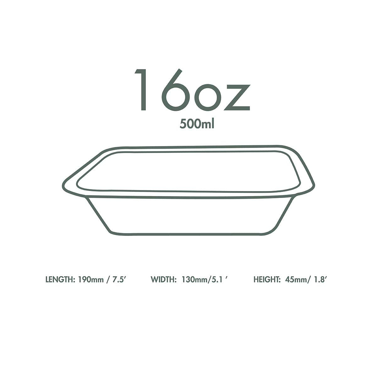 Plant-Based Compostable 16oz Gourmet Range Base (Case of 600) by Vegware – Size 3, 16oz, 16 ounces, Bagasse, White, Pack of 600
