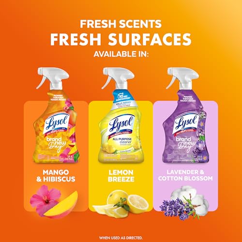 Lysol 32 Fl Oz (Pack of 1) / Mango and Hibiscus / Mango All-Purpose Cleaners