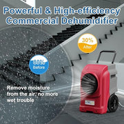 ALORAIR Red / 22.3x23.6x39.7 in / Storm Elite Dehumidifiers