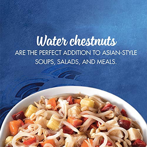 La Choy Sliced Water Chestnuts / 8 Ounce (Pack of 12) / 12 Vegetables