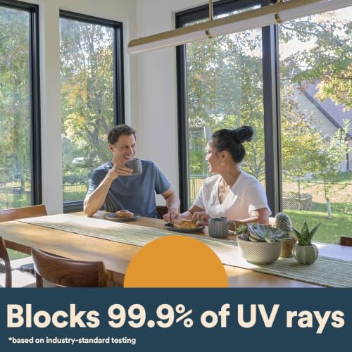 3M Privacy / 4 ft x 6.5 ft / 1 Window Films