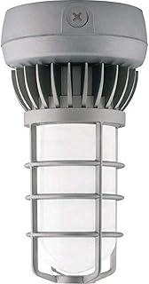 RAB Lighting VXLED26DG VAPORPROOF LED 26W Cool GL Frosted Globe DIECAST GD CEIL