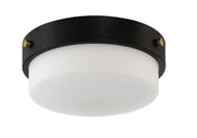 Oak Street 12" Flushmount Flat Black by Craftmade – 11" Width, Glass, Flat Black, Model X3212-FB