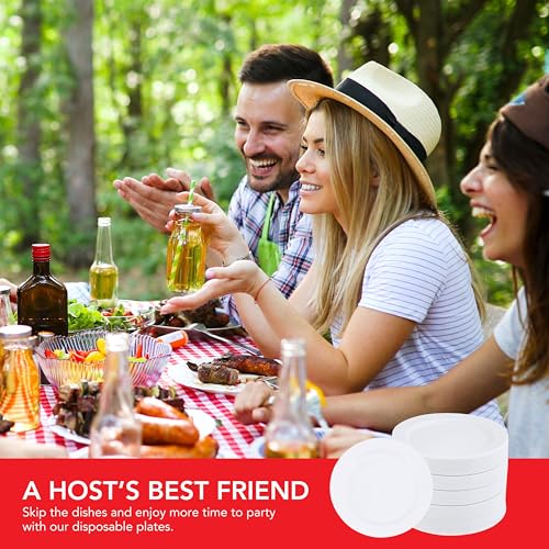 Stock Your Home 100 / White / 4 Pack Pack of 25 Plates