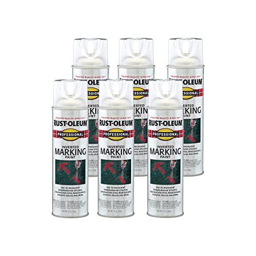 Rust-Oleum 15 Ounce (Pack of 6) / Clear / 1 Spray Paint