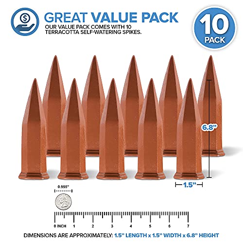 Modern Innovations 10 Pack / Terracotta / Tube Categories