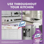Lysol 32 Fl Oz (Pack of 1) / Lavender / Purple All-Purpose Cleaners