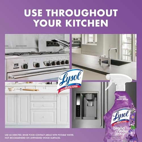 Lysol 32 Fl Oz (Pack of 1) / Lavender / Purple All-Purpose Cleaners