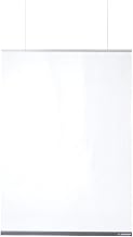 Goff's 54"W x 72"H Ceiling Mounted Personal Safety Partition, Clear