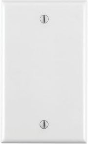 Leviton 1-Gang No Device Blank Wallplate, Standard Size, Thermoplastic Nylon, Box Mount, 80714-W, White