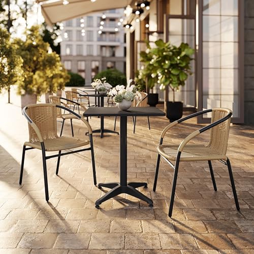 Flash Furniture Beige / Set of 2 / Modern Patio Dining Chairs