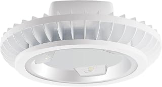 RAB Lighting BAYLED78W Outdoor, White
