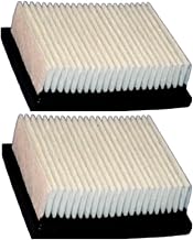 Dust Panel Filter 2 Pack Part 1037822 for Tennant Sweeper