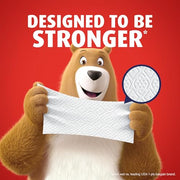 Charmin 18 Count (Pack of 1) / 18 Paper & Plastic