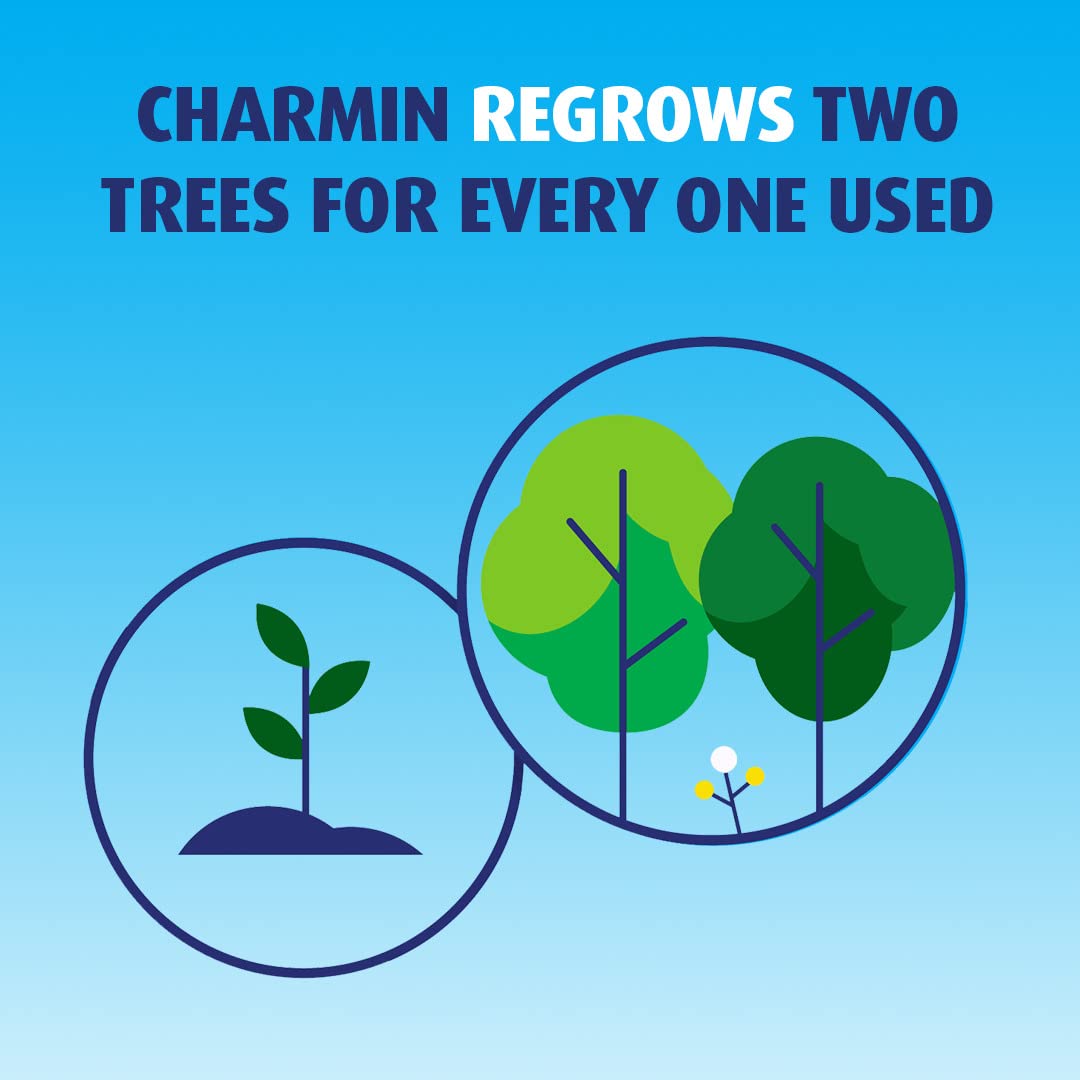 Charmin White / 9 Rolls (429 Sheets) / Essentials Strong Toilet Paper Toilet Paper