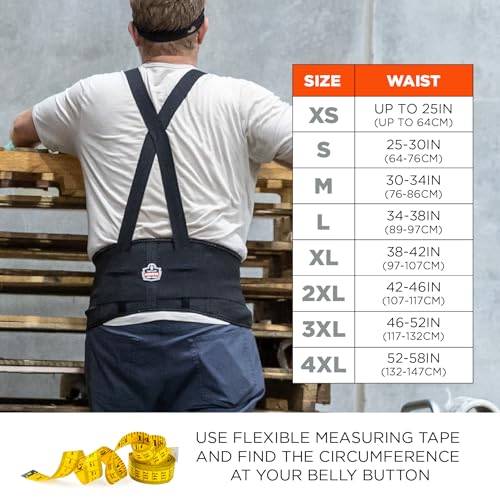 Ergodyne Black / 4X-Large (Pack of 1) / Elastic Back Support Brace Back Braces