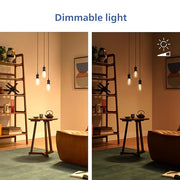 PHILIPS ST19 / Multicolor + Tunable White / 1 LED Bulbs