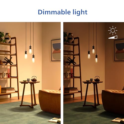PHILIPS ST19 / Multicolor + Tunable White / 1 LED Bulbs