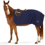 Centaur Turbo Dry Exercise Sheet Horse