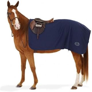 Centaur Turbo Dry Exercise Sheet Horse